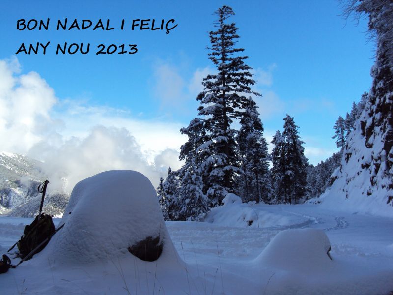 Vacances de nadal